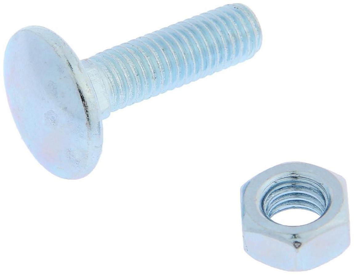 Болт мебельный ТУНДРА krep DIN603 8x30 с гайкой, цинк, 6 шт.
