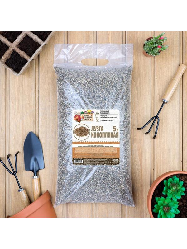 Лузга конопляная 