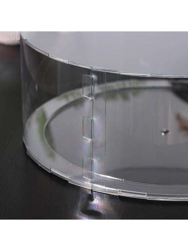 Фальшярус для торта, цилиндр, d=25 см, h=12 см, цвет прозрачный