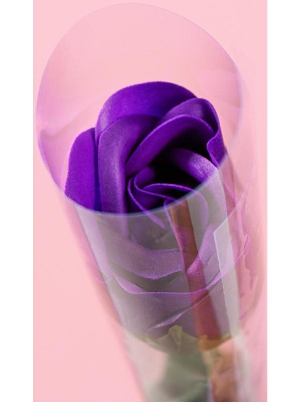 Мыльная роза, фиолетовая