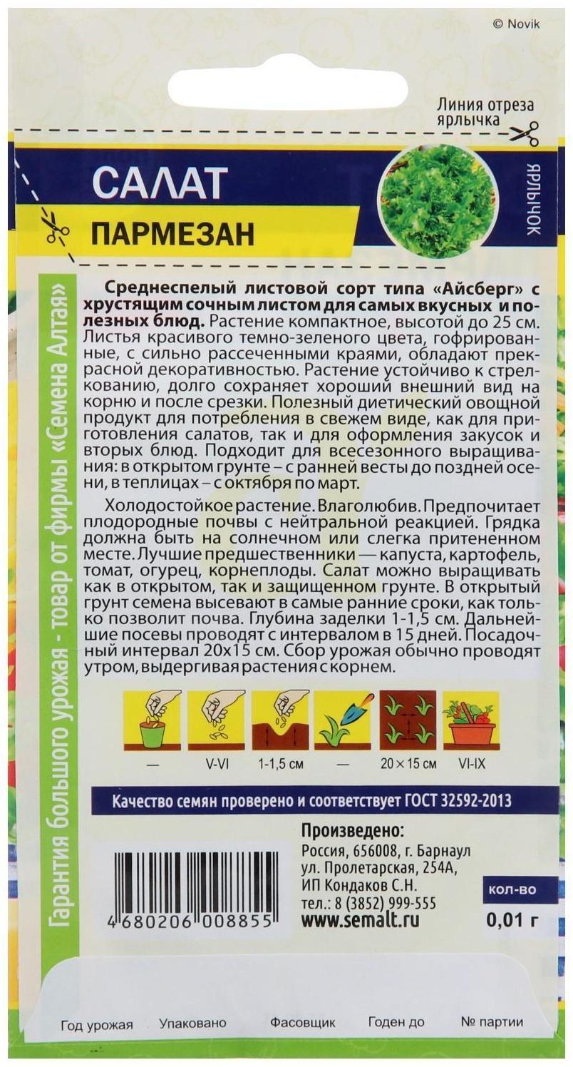 Семена Салат 