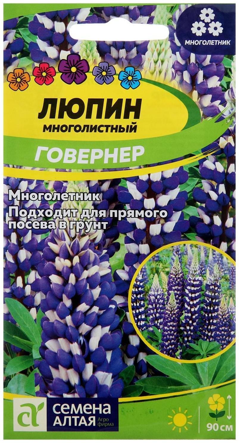 Семена цветов Люпин 