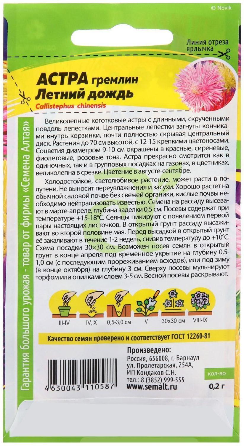 Семена цветов Астра гремлин 