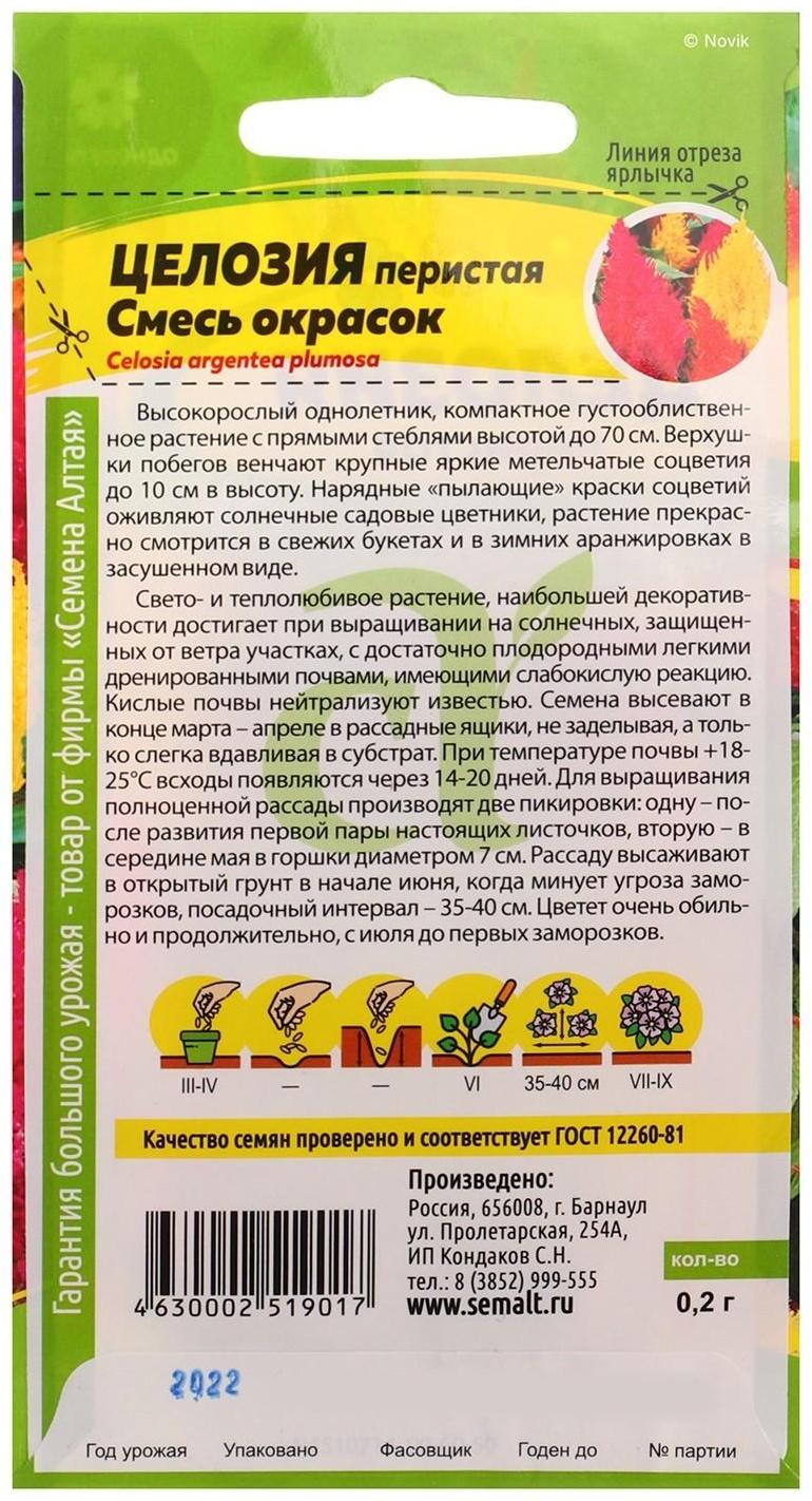 Семена цветов Целозия 