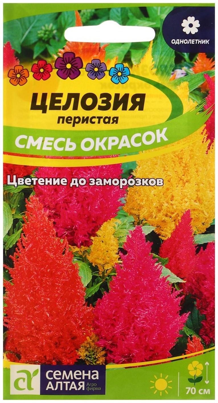 Семена цветов Целозия 