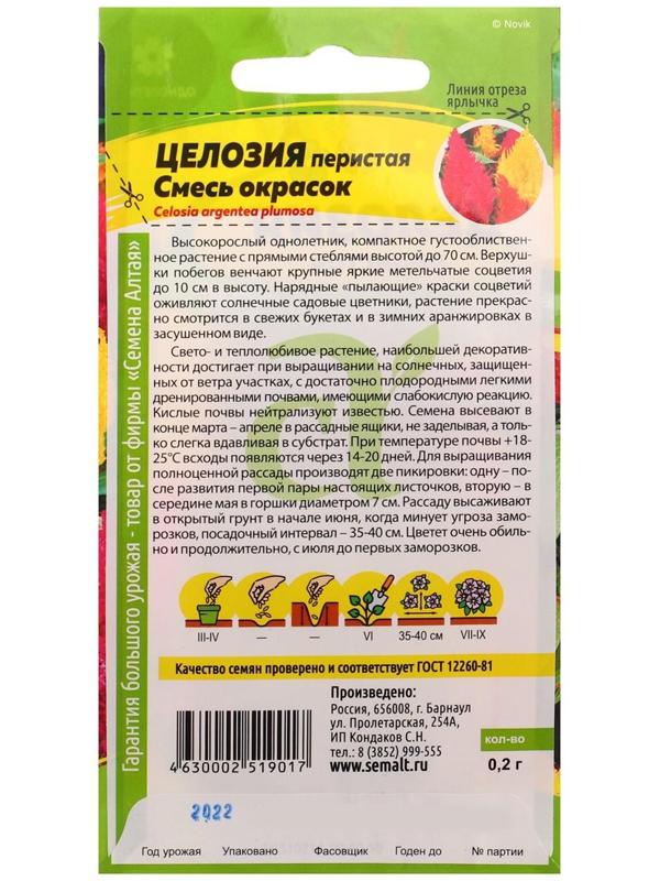 Семена цветов Целозия 