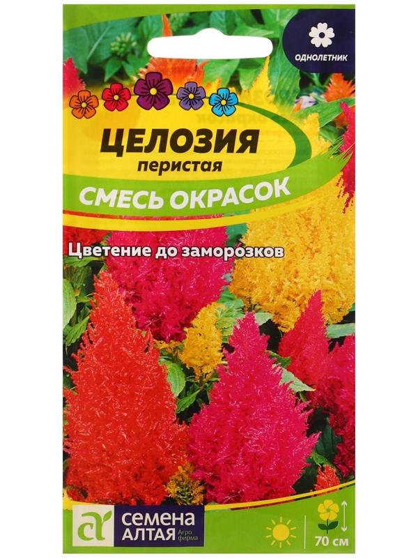 Семена цветов Целозия 