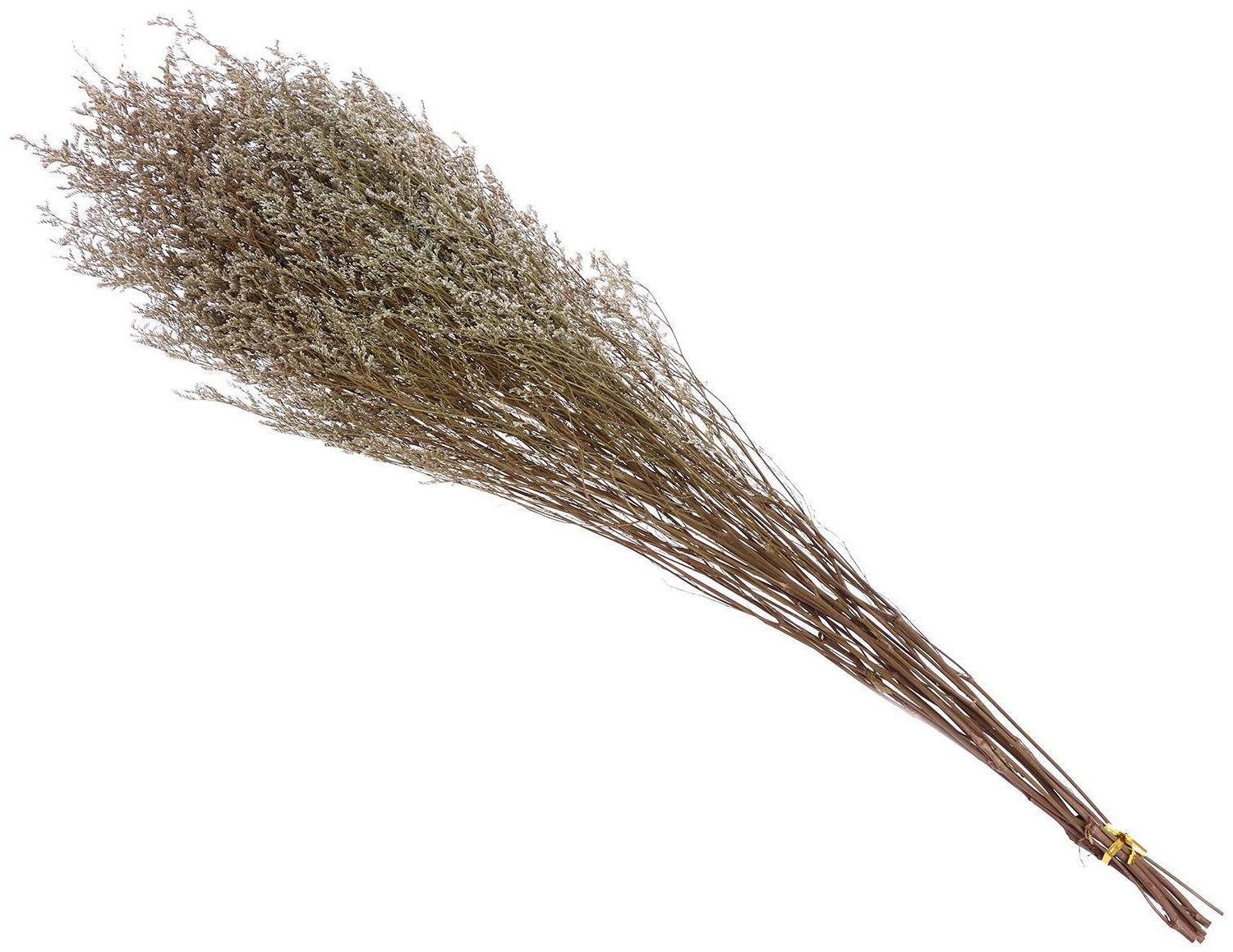 Сухоцвет «Кермек» 130 г, цвет белый