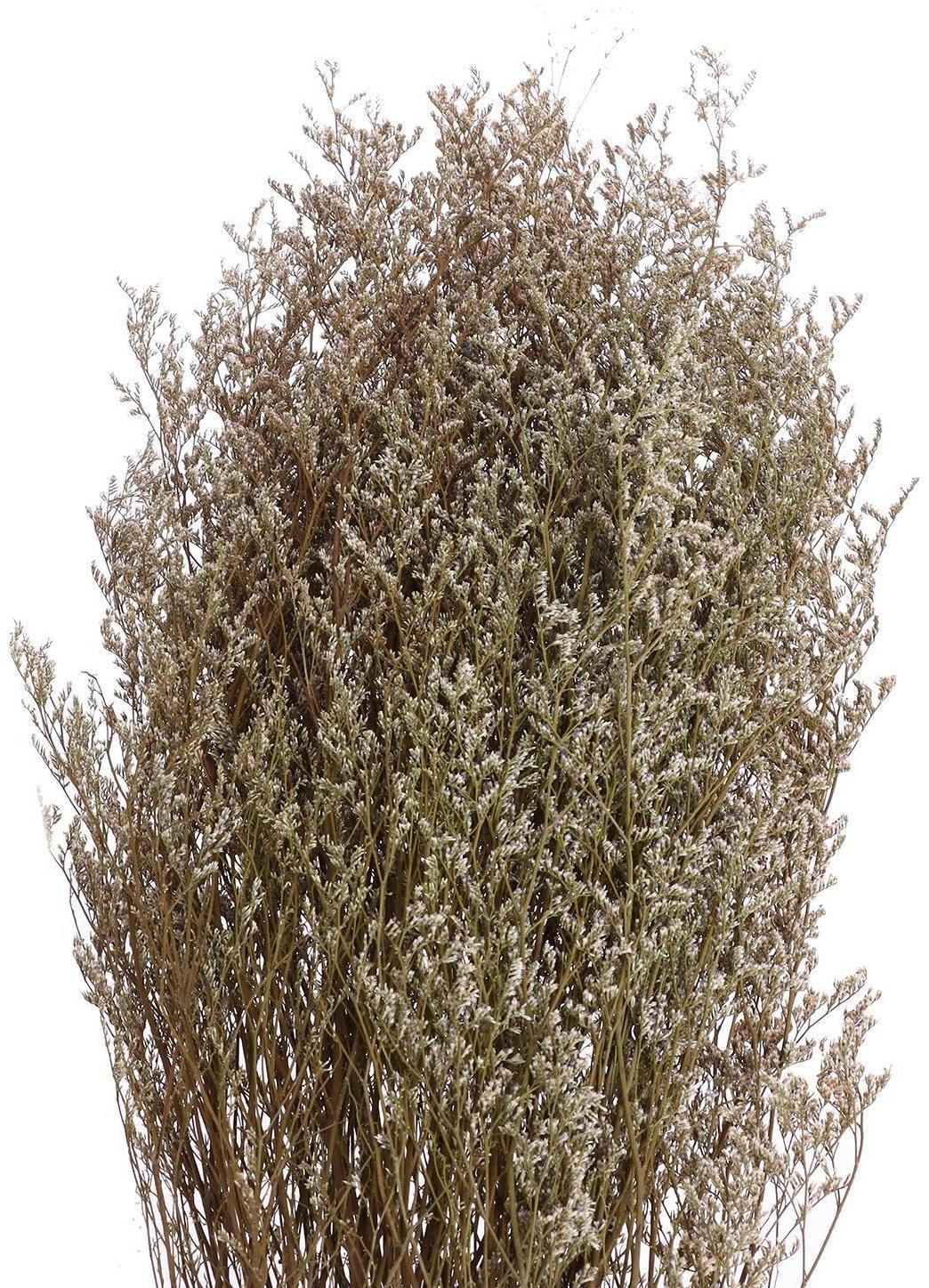 Сухоцвет «Кермек» 130 г, цвет белый