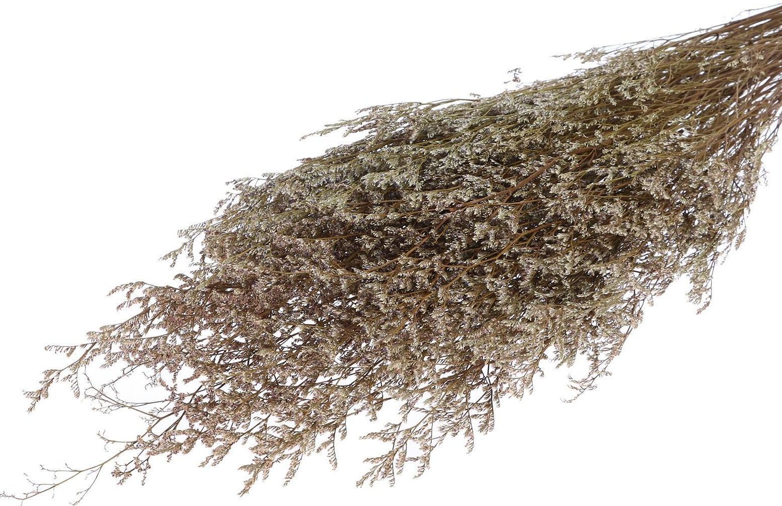 Сухоцвет «Кермек» 130 г, цвет белый