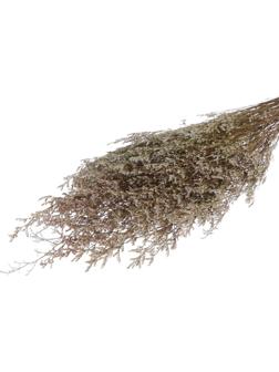 Сухоцвет «Кермек» 130 г, цвет белый