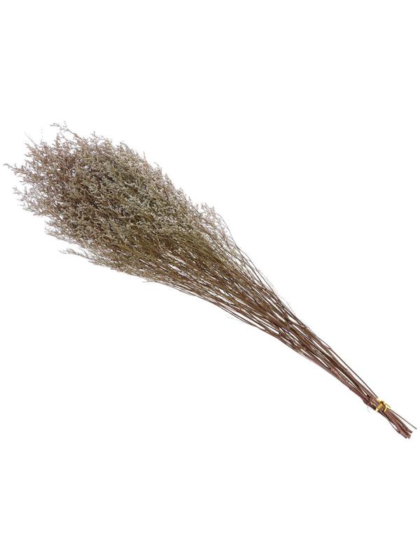 Сухоцвет «Кермек» 130 г, цвет белый