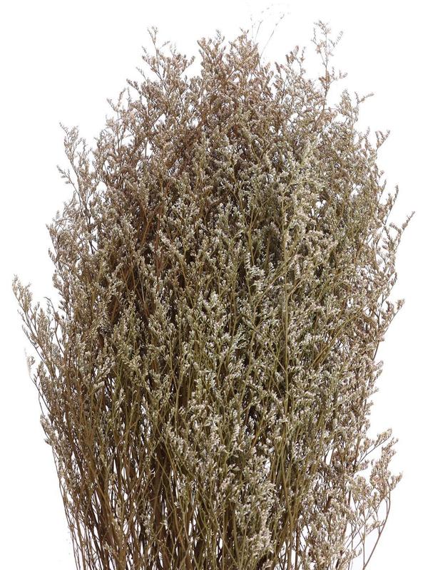 Сухоцвет «Кермек» 130 г, цвет белый