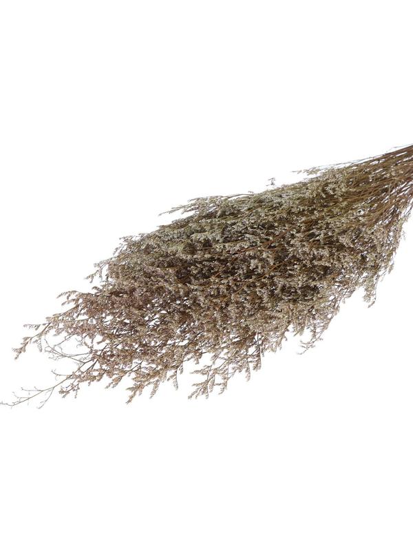 Сухоцвет «Кермек» 130 г, цвет белый