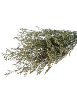 Сухоцвет «Кермек» 130 г, цвет зелёный