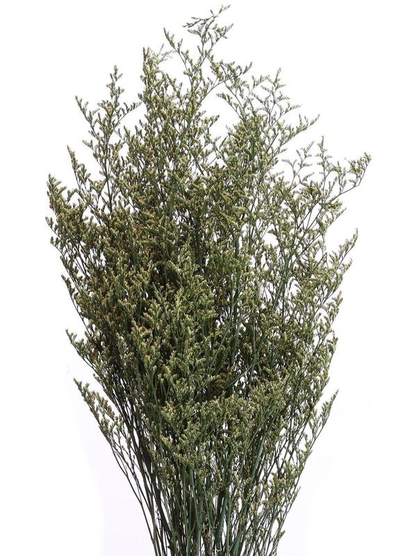 Сухоцвет «Кермек» 130 г, цвет зелёный