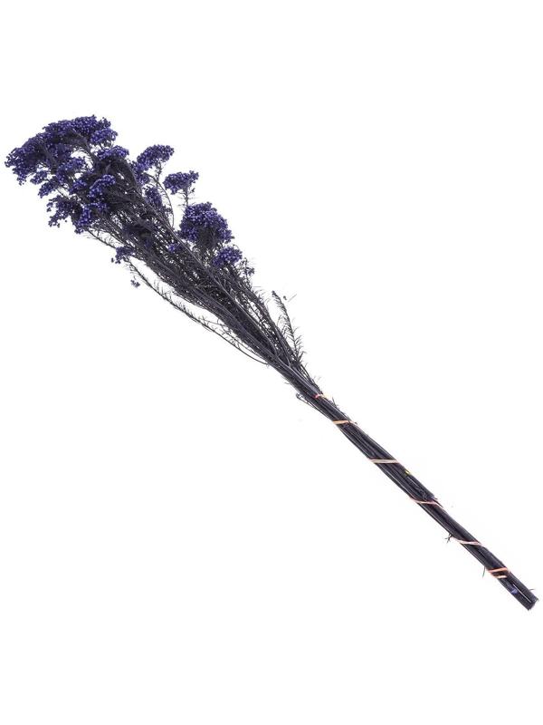 Сухоцвет «Озотамнус» 60 г, цвет фиолетовый