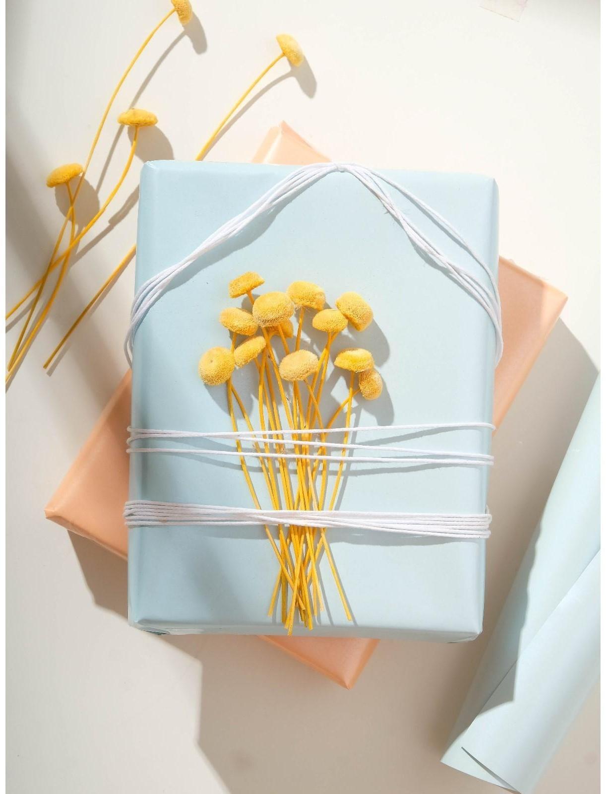 Сухоцвет «Батао» набор 20 шт., цвет жёлтый