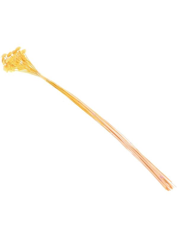 Сухоцвет «Батао» набор 20 шт., цвет жёлтый