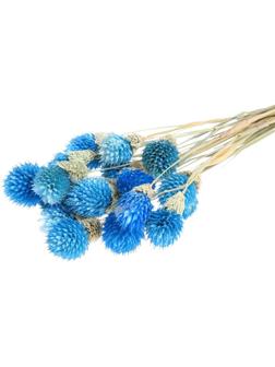 Сухоцвет «Гомфрена шаровидная» набор 20 шт., цвет голубой