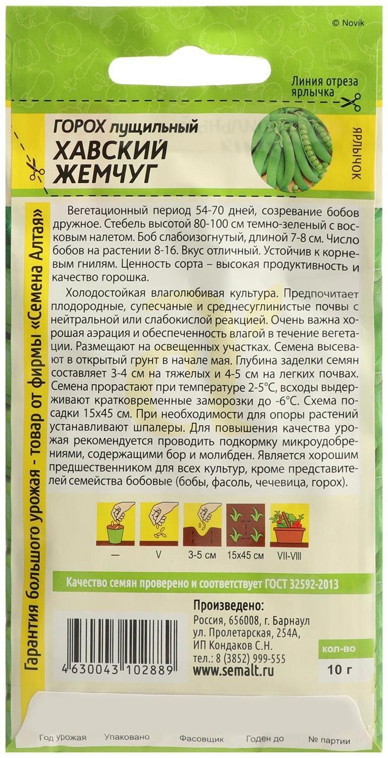 Семена Горох 