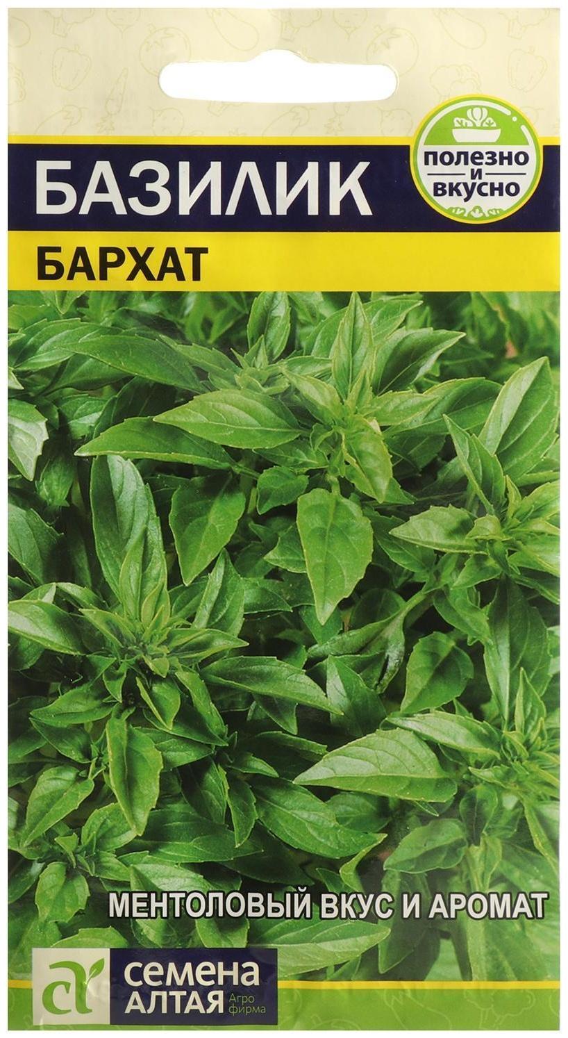 Семена Базилик 