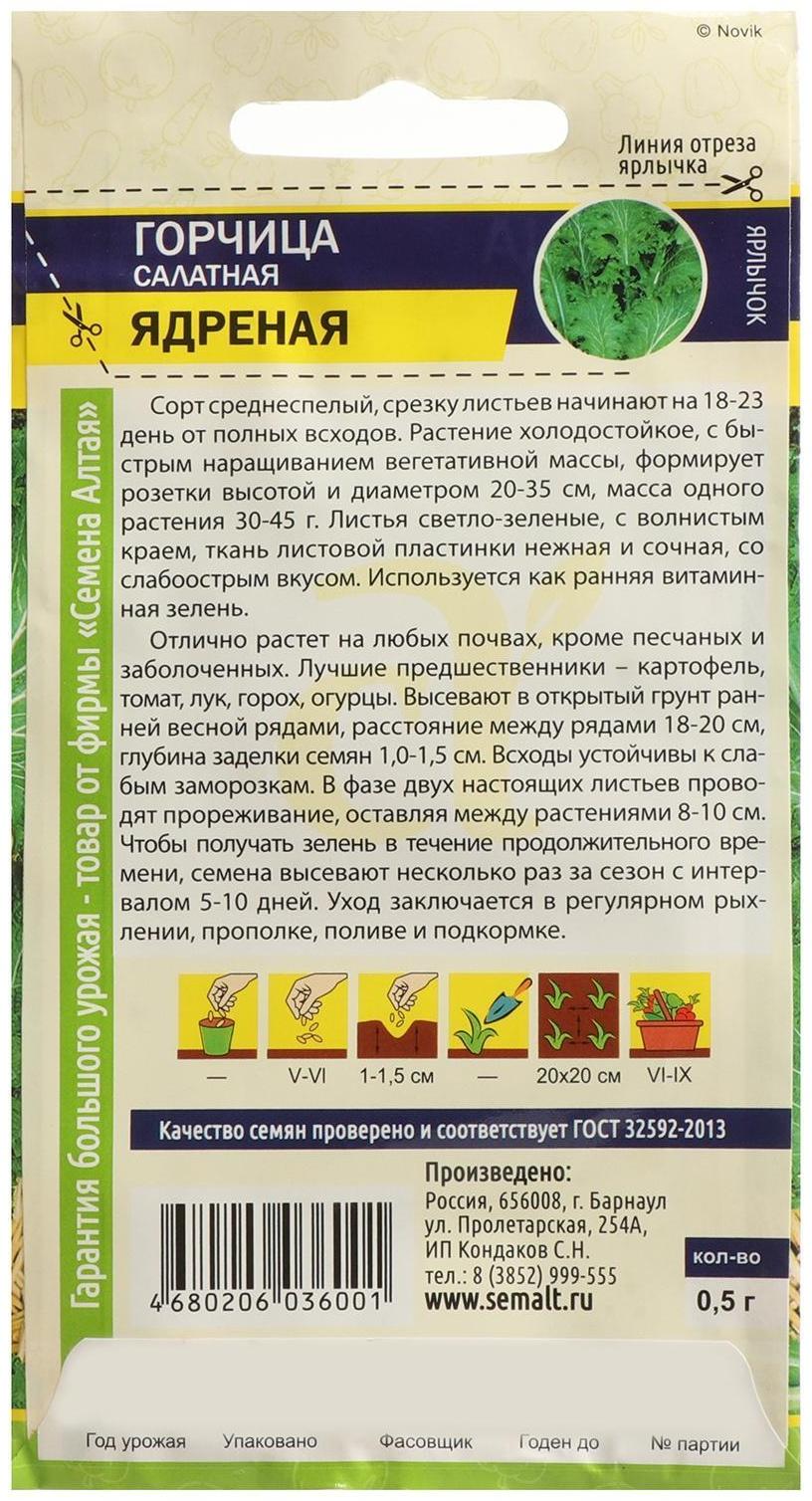 Семена Горчица 