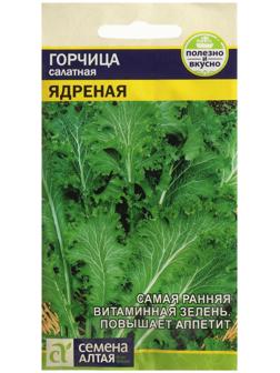 Семена Горчица 