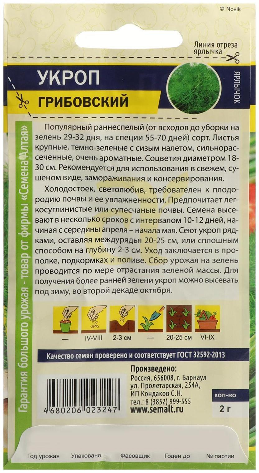 Семена Укроп 