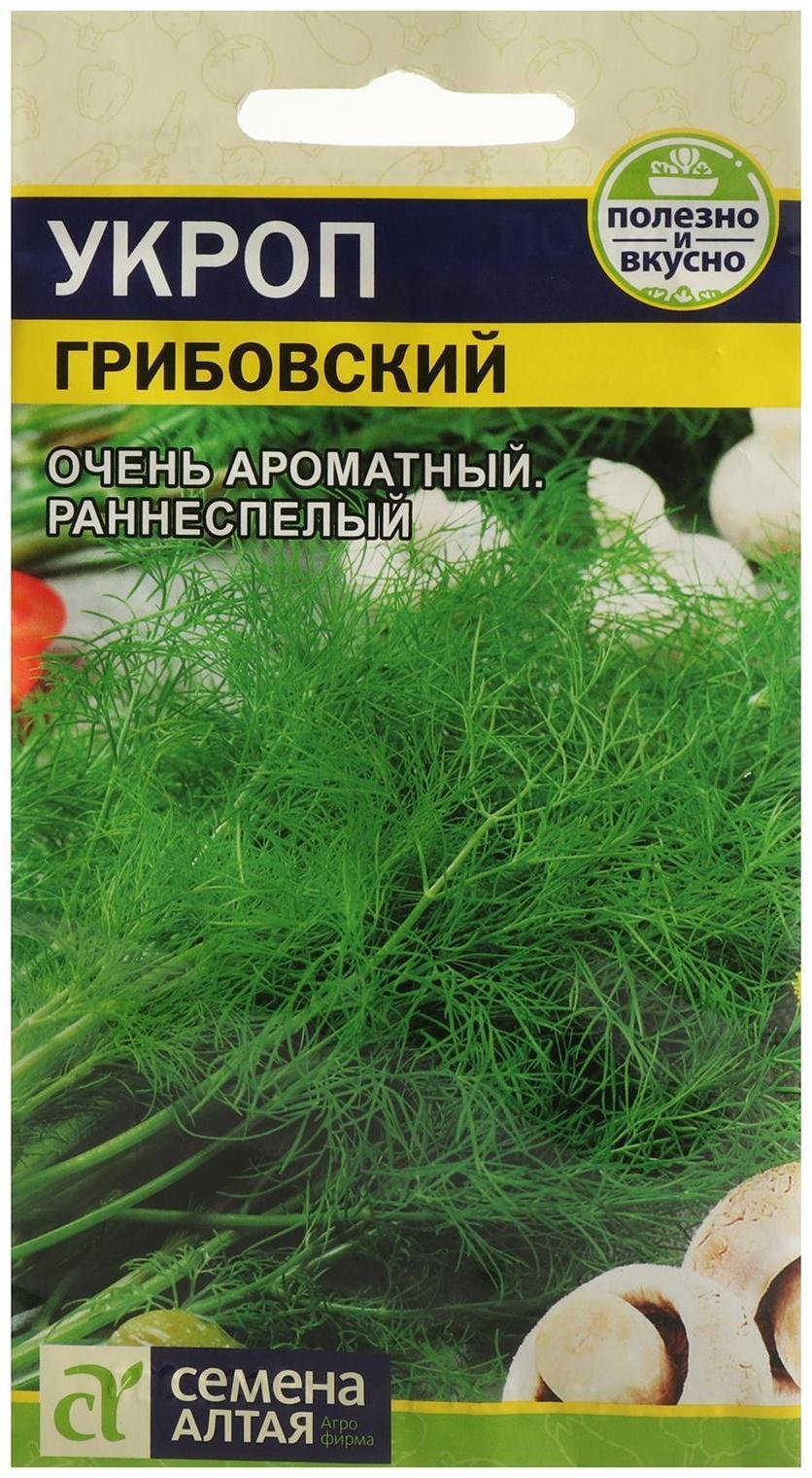 Семена Укроп 