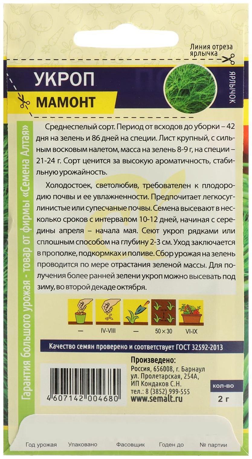 Семена Укроп 