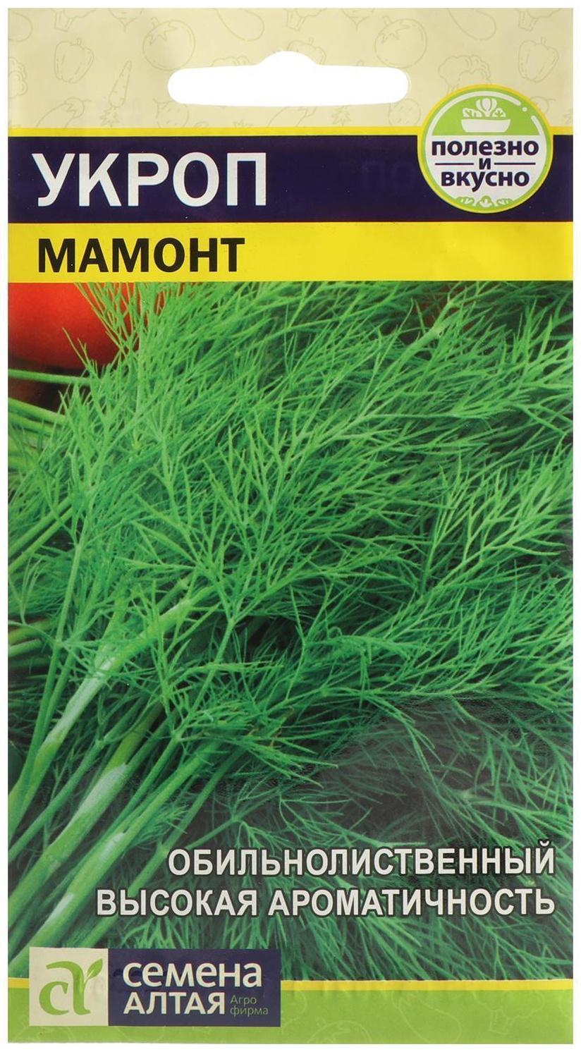 Семена Укроп 