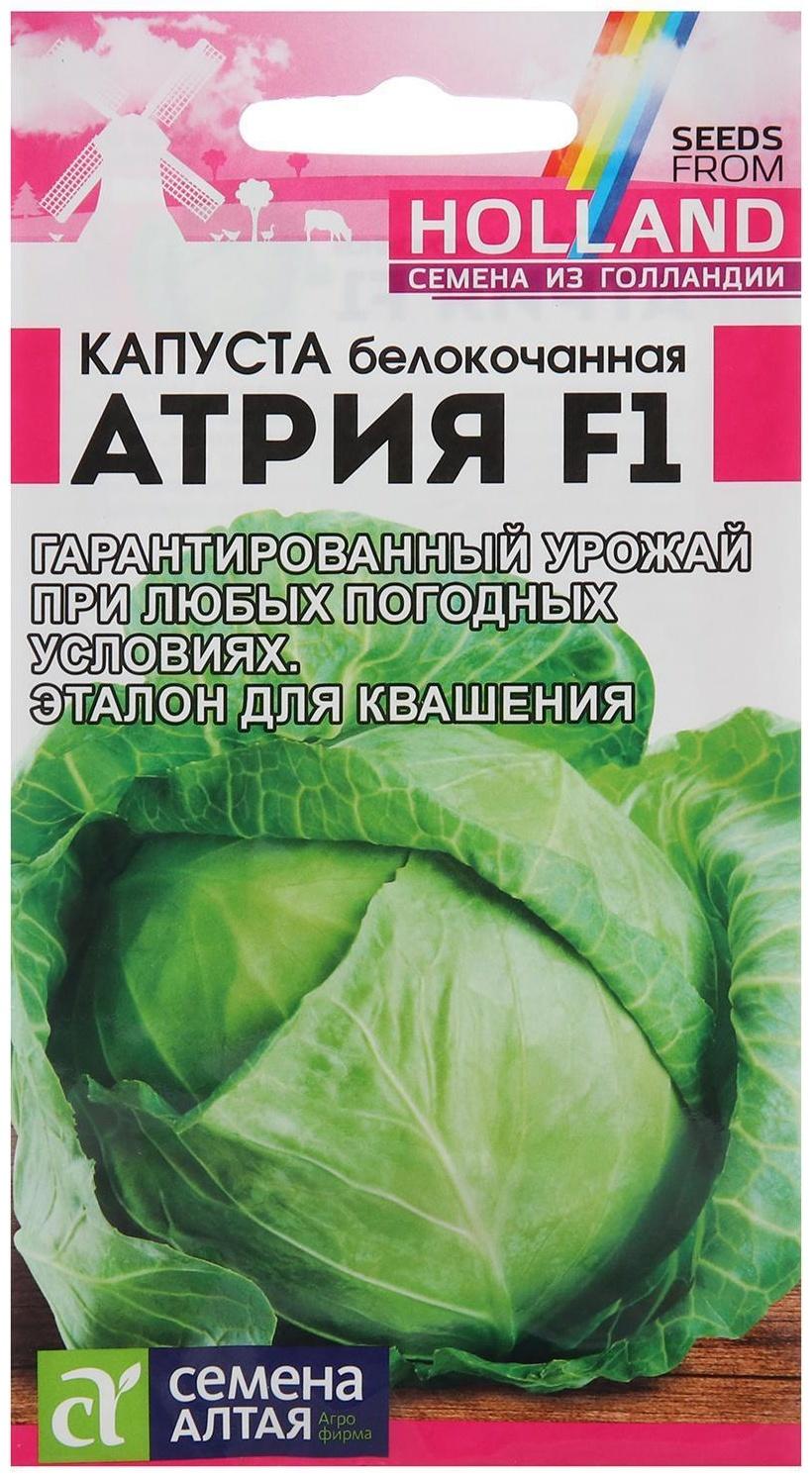 Семена Капусты белокочанной 