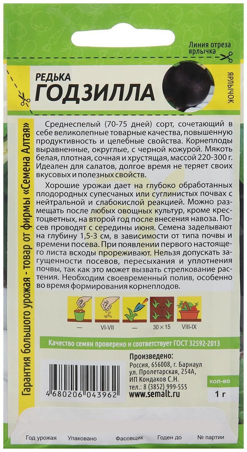 Семена Редька 