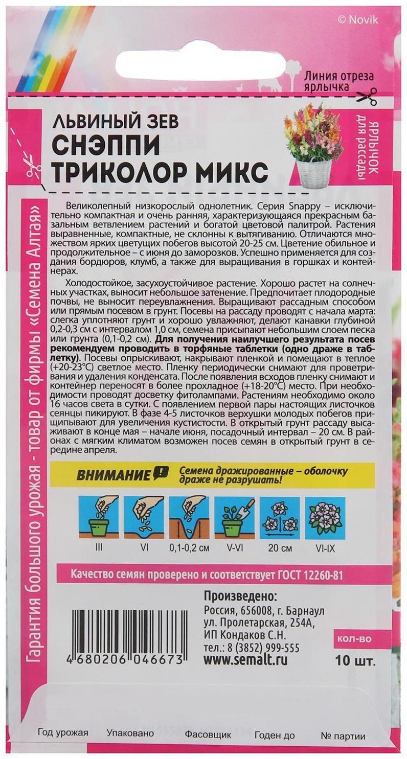 Семена цветов Львиный зев Снэппи 