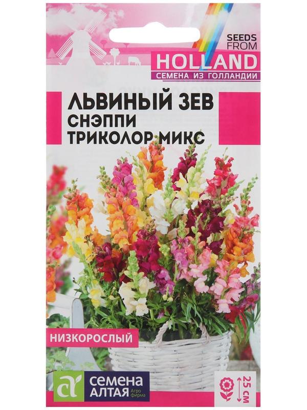 Семена цветов Львиный зев Снэппи 