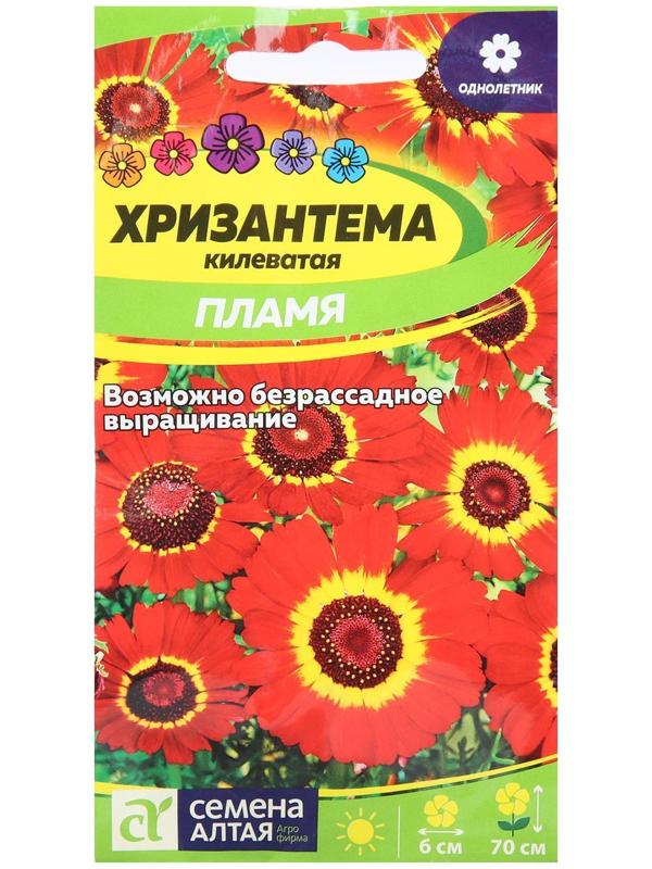 Семена цветов Хризантема 