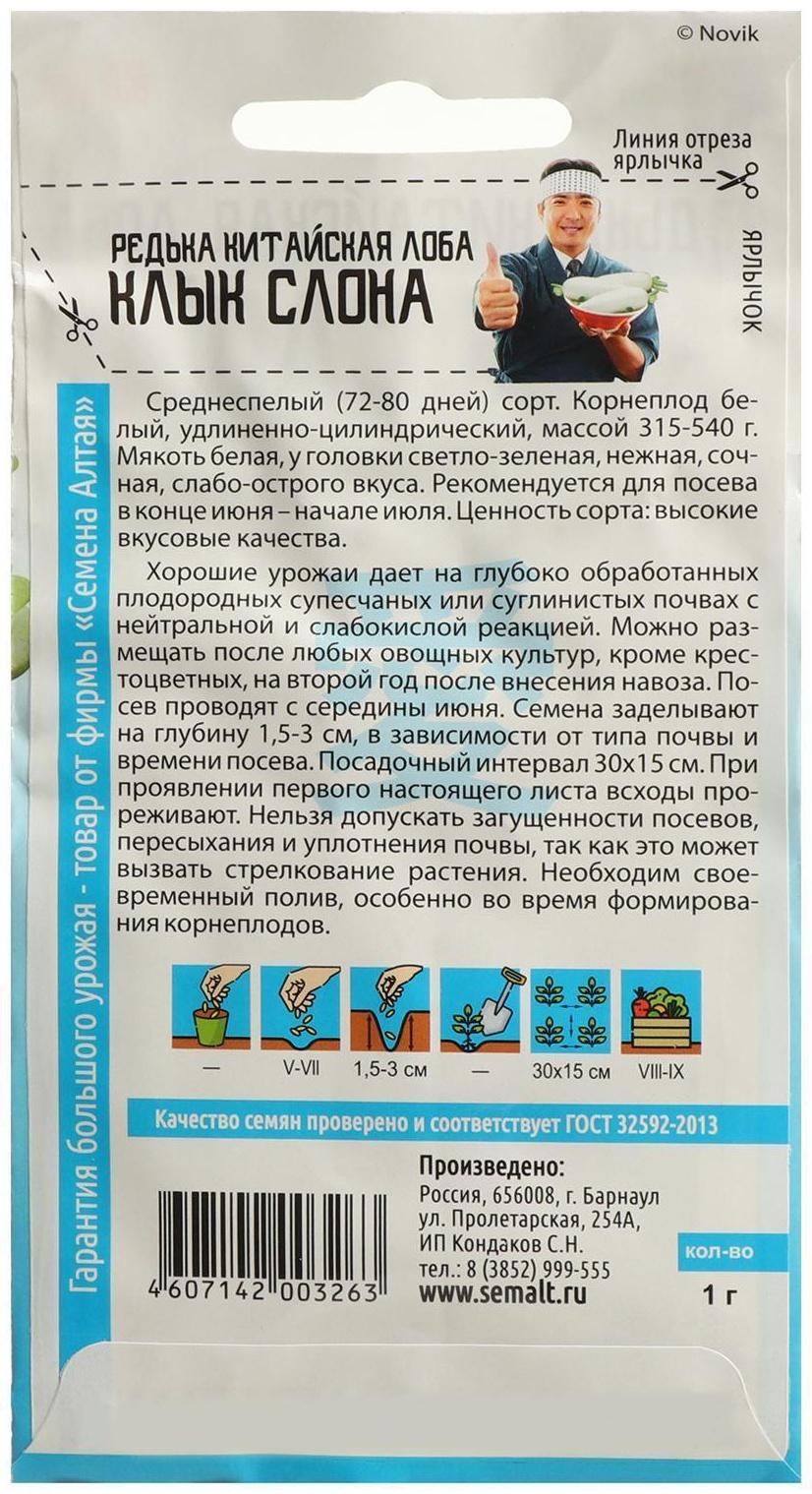 Семена Редька 