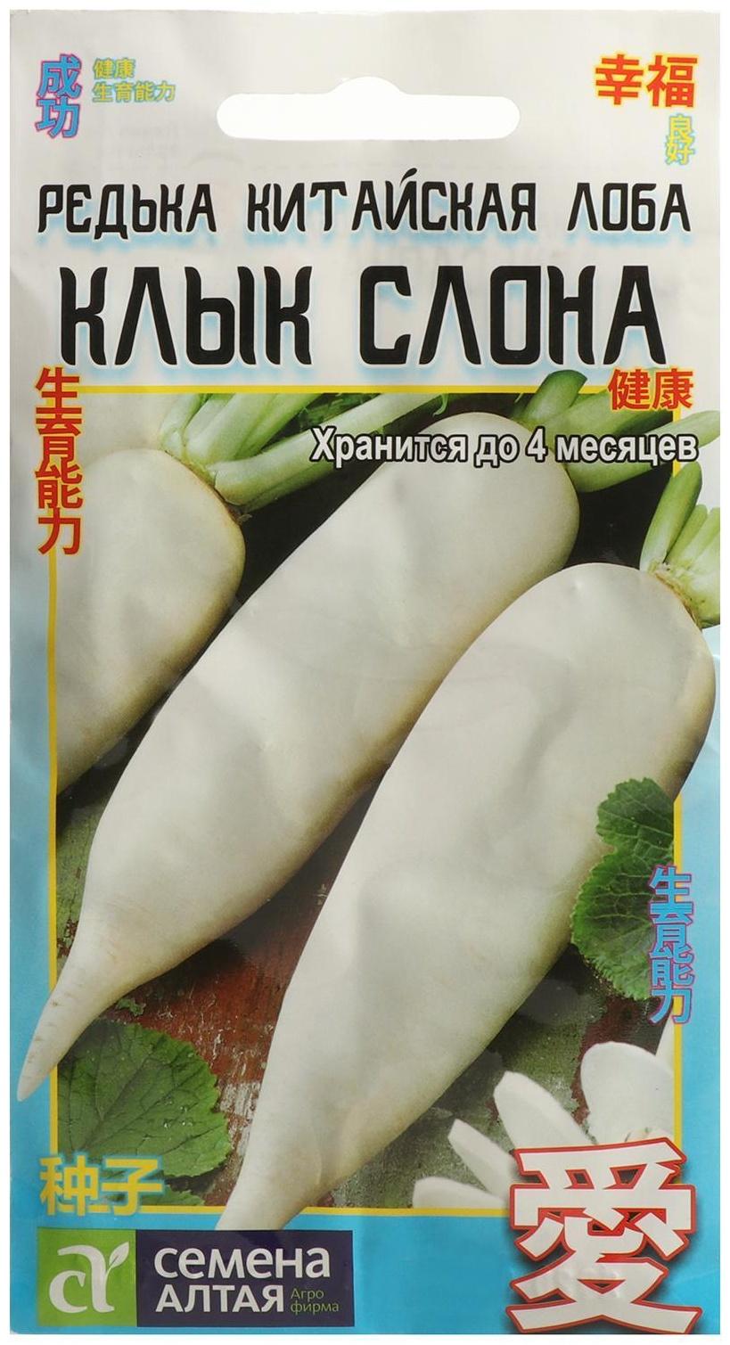 Семена Редька 