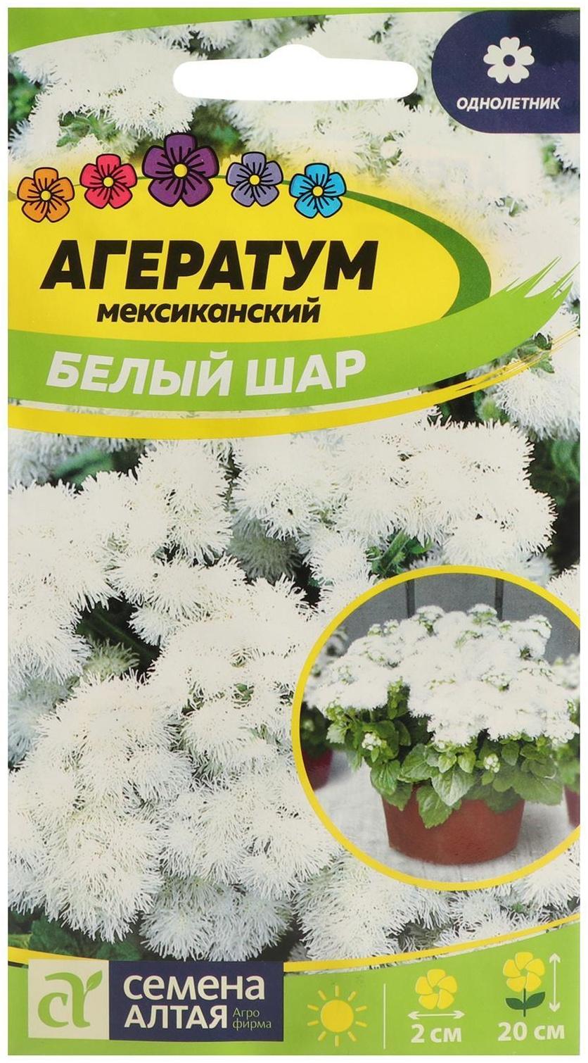 Семена цветов Агератум 