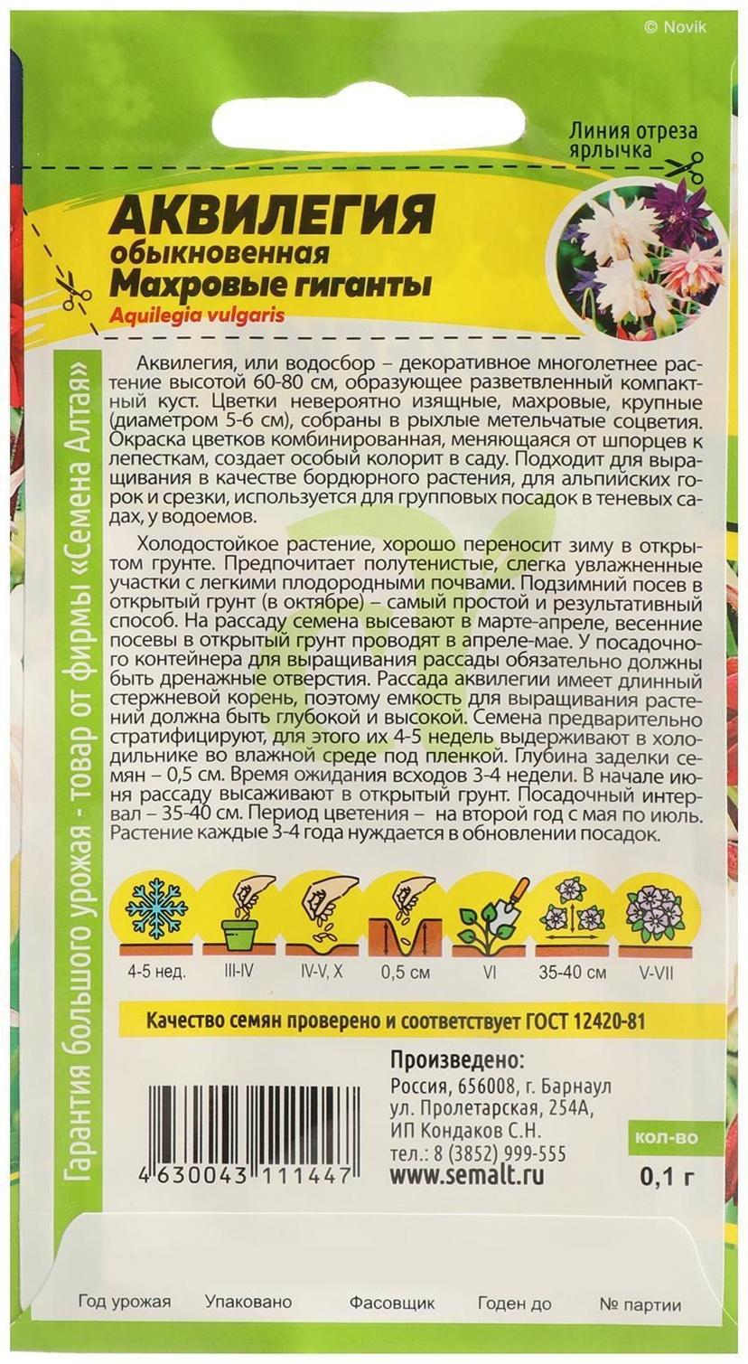 Семена цветов Аквилегия 