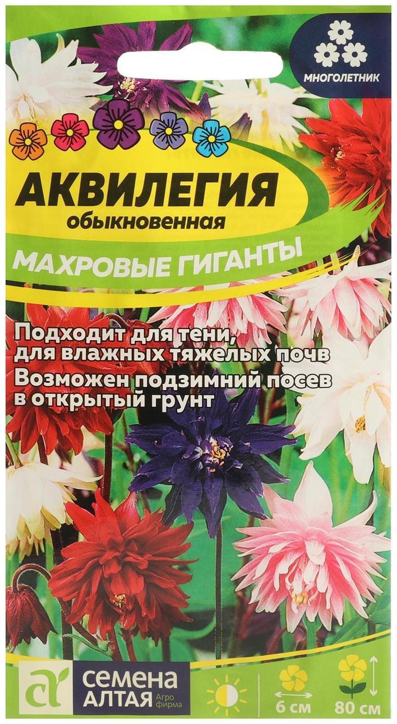 Семена цветов Аквилегия 