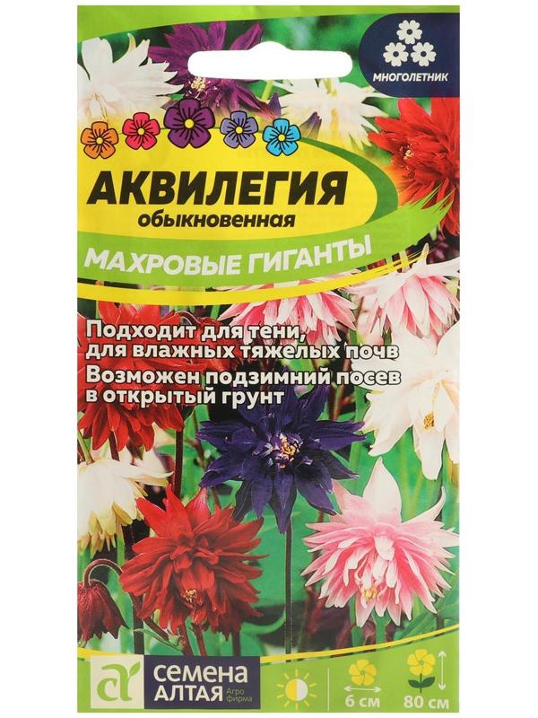 Семена цветов Аквилегия 