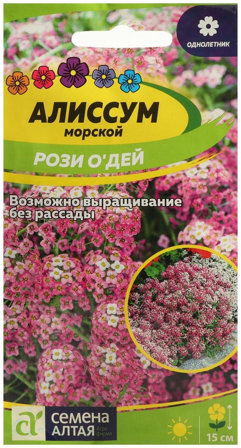 Семена цветов Алиссум 