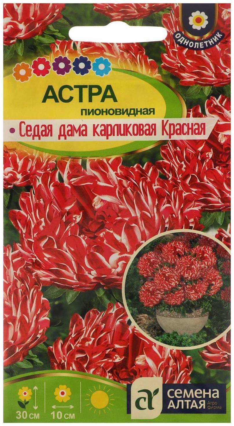 Семена цветов Астра 