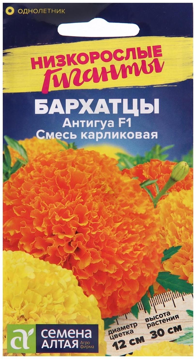 Семена цветов Бархатцы Антигуа, смесь карликовая, Сем. Алт, ц/п, 5 шт