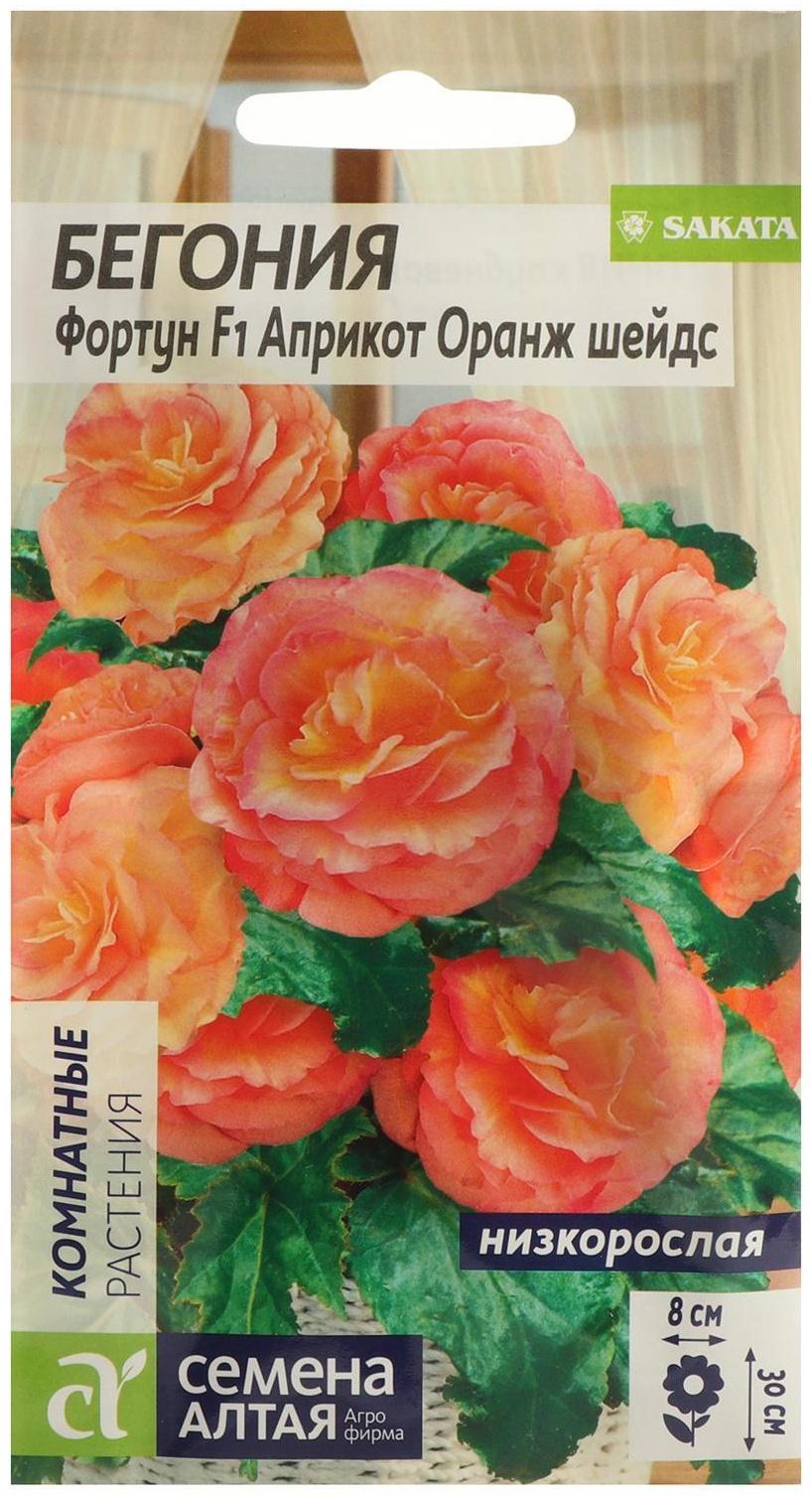 Семена цветов Бегония 