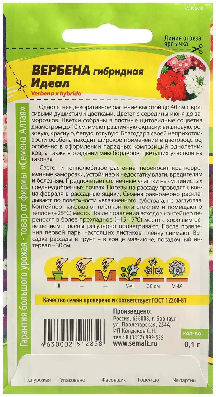 Семена цветов Вербена 