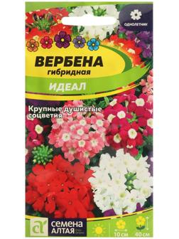 Семена цветов Вербена 