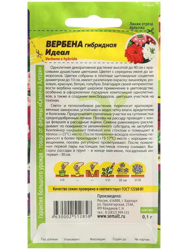 Семена цветов Вербена 